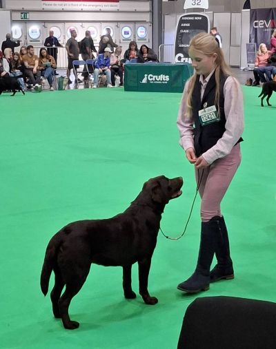Lillie & Brandy @ CRUFTS 2025