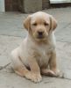 I'm so cute!