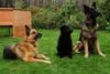 With his new family