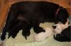 Feed time at one end, bath time at the other!