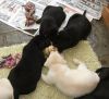 Another wet day - so we'll stay in again! 