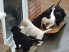 Let us in!