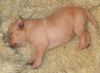 Snoozing!
