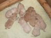 All growing and still all even!
