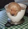 She wormed us today - First she weighed us