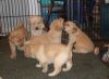 Happily playing!