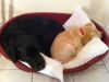 Room for two? (Snoop and India)