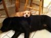 Who loves ya baby! (Snoop and India)