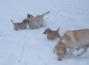 Fun in the snow!