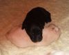A comfy pillow!