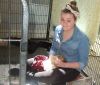 Our friend's daughter Amberly doing a brilliant job of socialising puppies!